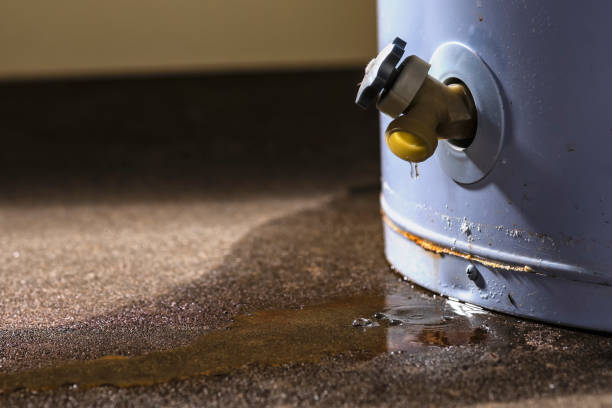 Best Water damage restoration process  in Buckeystown, MD