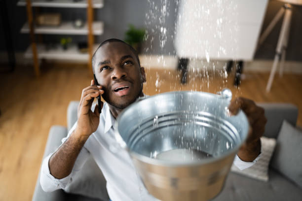 Best Basement water damage restoration  in Buckeystown, MD