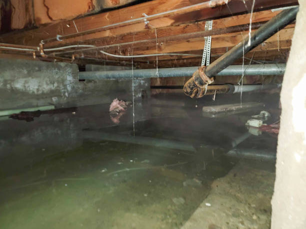  Buckeystown, MD Water damage restoration Pros