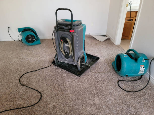 Best 24/7 water damage repair  in Buckeystown, MD