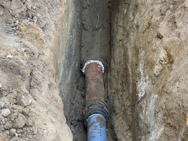 Best Professional water damage repair  in Buckeystown, MD