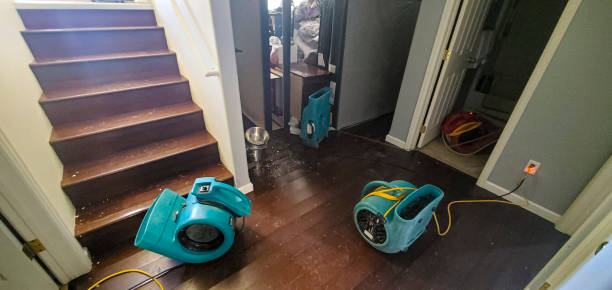 Reliable Buckeystown, MD Water damage restoration Solutions