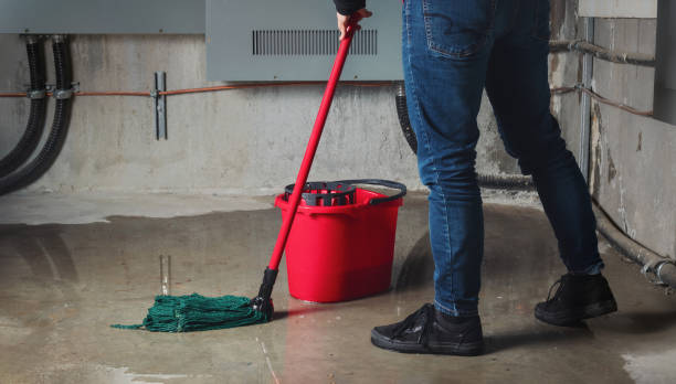 Best Water damage contractors near me  in Buckeystown, MD