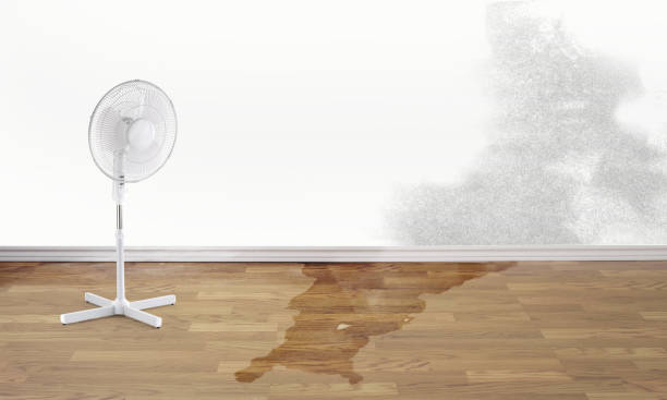 Best Basement water damage restoration  in Buckeystown, MD