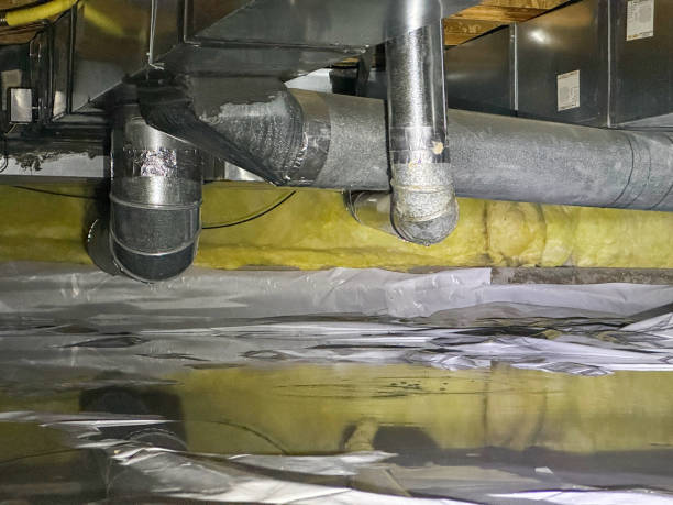 Best Mold removal after water damage  in Buckeystown, MD