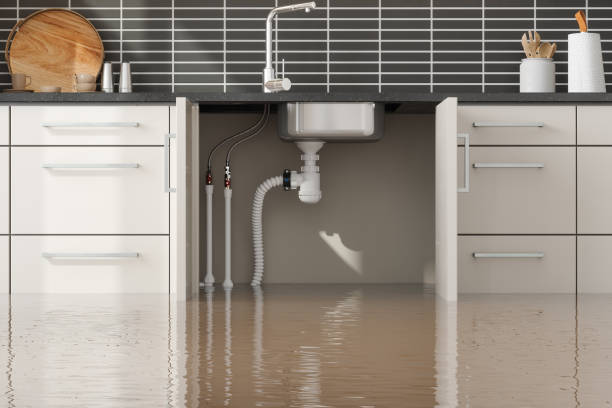  Buckeystown, MD Water damage restoration Pros