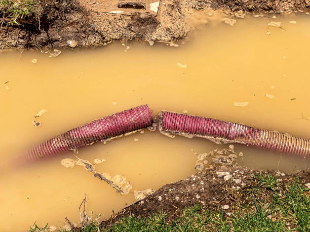 Water damage restoration mold remediation in Buckeystown, MD