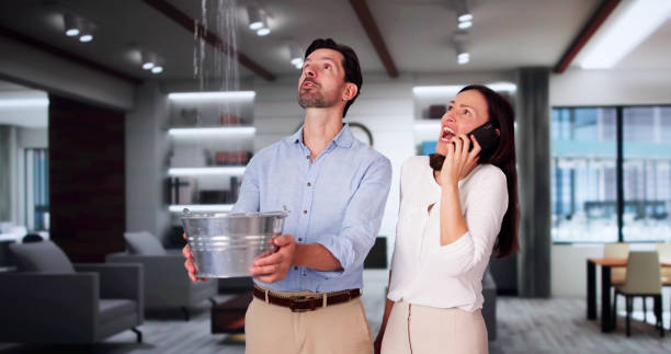 Best Fire Damage Restoration  in Buckeystown, MD