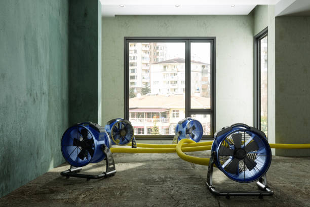 Best Emergency water damage restoration  in Buckeystown, MD